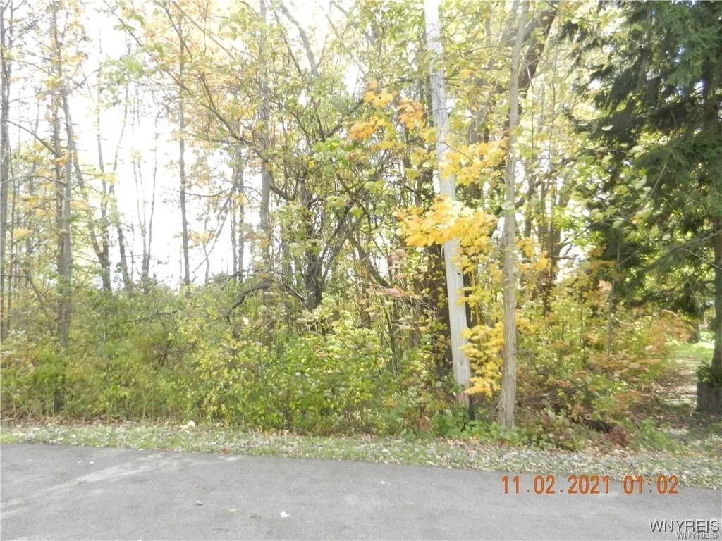 68 Grove Street, Evans, New York 14006, Evans, New York 14006, ,Land,For Sale,68 Grove Street, Evans, New York 14006,0,B1655034