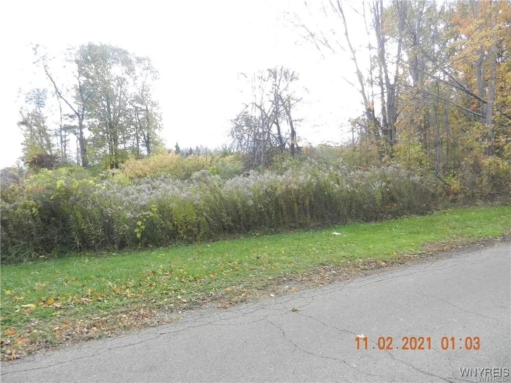 68 Grove Street, Evans, New York 14006, Evans, New York 14006, ,Land,For Sale,68 Grove Street, Evans, New York 14006,0,B1655034