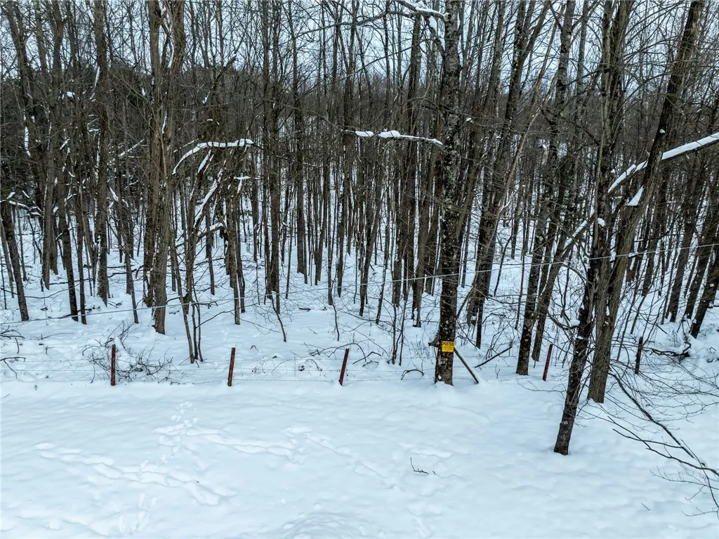 Lot 36 Spurr Street, Columbus, New York 13411, Columbus, New York 13411, ,Land,For Sale,Lot 36 Spurr Street, Columbus, New York 13411,0,R1654176