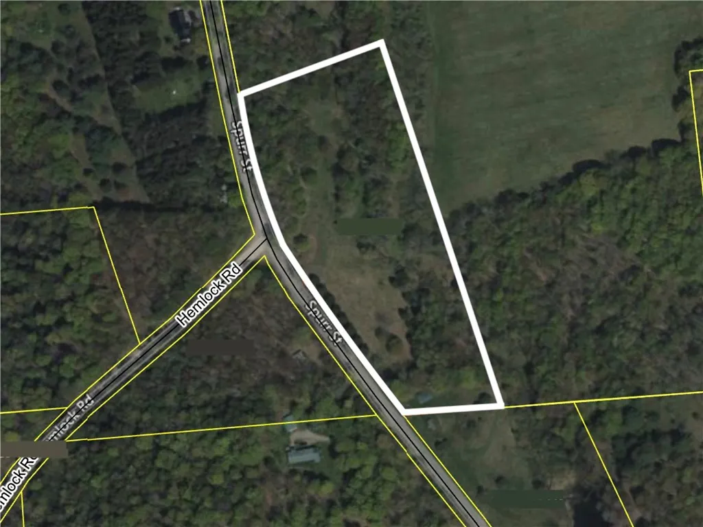 Lot 36 Spurr Street, Columbus, New York 13411, Columbus, New York 13411, ,Land,For Sale,Lot 36 Spurr Street, Columbus, New York 13411,0,R1654176