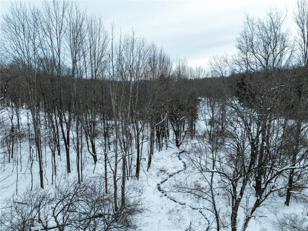 Lot 36 Spurr Street, Columbus, New York 13411, Columbus, New York 13411, ,Land,For Sale,Lot 36 Spurr Street, Columbus, New York 13411,0,R1654176