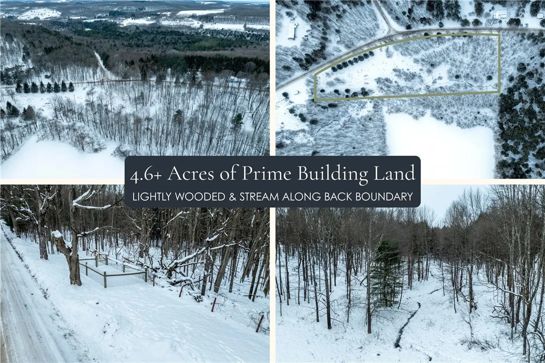 Lot 36 Spurr Street, Columbus, New York 13411, Columbus, New York 13411, ,Land,For Sale,Lot 36 Spurr Street, Columbus, New York 13411,0,R1654176