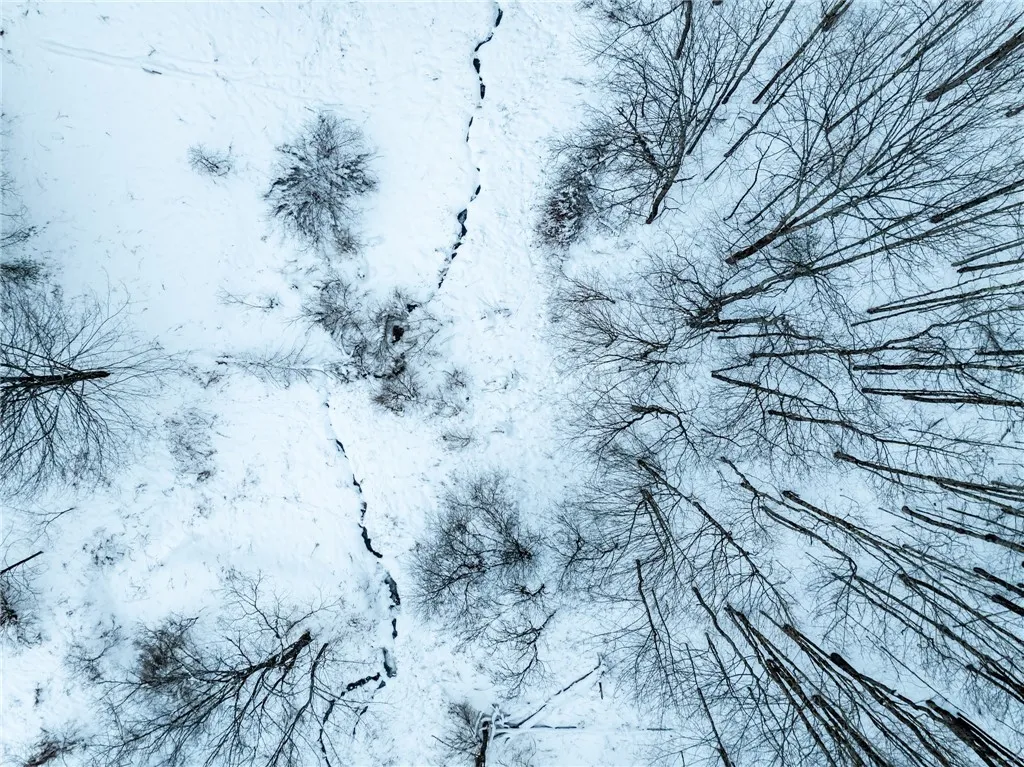 Lot 36 Spurr Street, Columbus, New York 13411, Columbus, New York 13411, ,Land,For Sale,Lot 36 Spurr Street, Columbus, New York 13411,0,R1654176