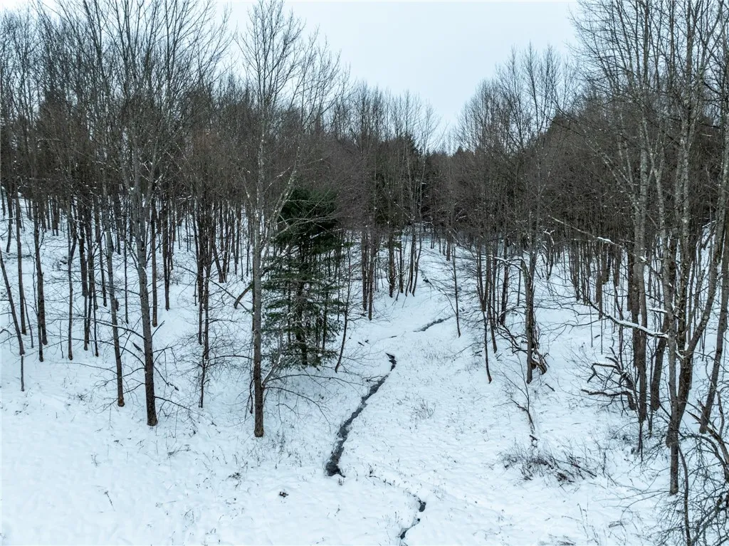 Lot 36 Spurr Street, Columbus, New York 13411, Columbus, New York 13411, ,Land,For Sale,Lot 36 Spurr Street, Columbus, New York 13411,0,R1654176