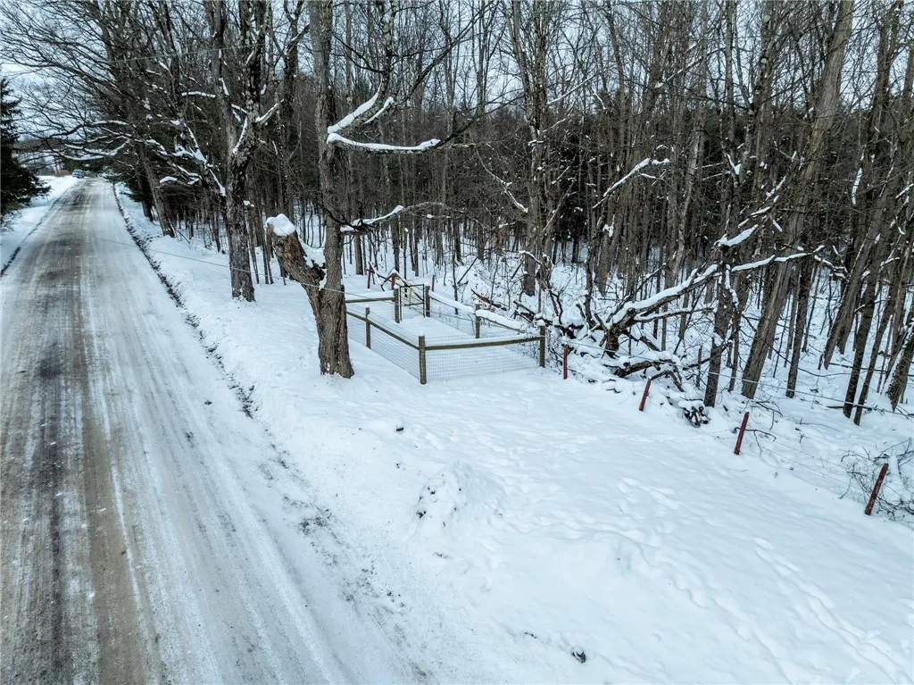 Lot 36 Spurr Street, Columbus, New York 13411, Columbus, New York 13411, ,Land,For Sale,Lot 36 Spurr Street, Columbus, New York 13411,0,R1654176