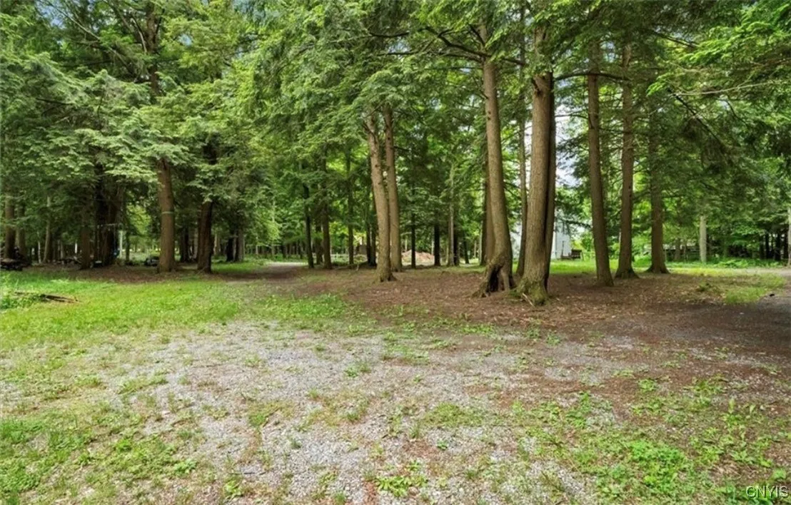 9036 Woods Road, Remsen, New York 13438, Remsen, New York 13438, 2 Bedrooms Bedrooms, 6 Rooms Rooms,1 BathroomBathrooms,Residential,For Sale,9036 Woods Road, Remsen, New York 13438,0,S1655521