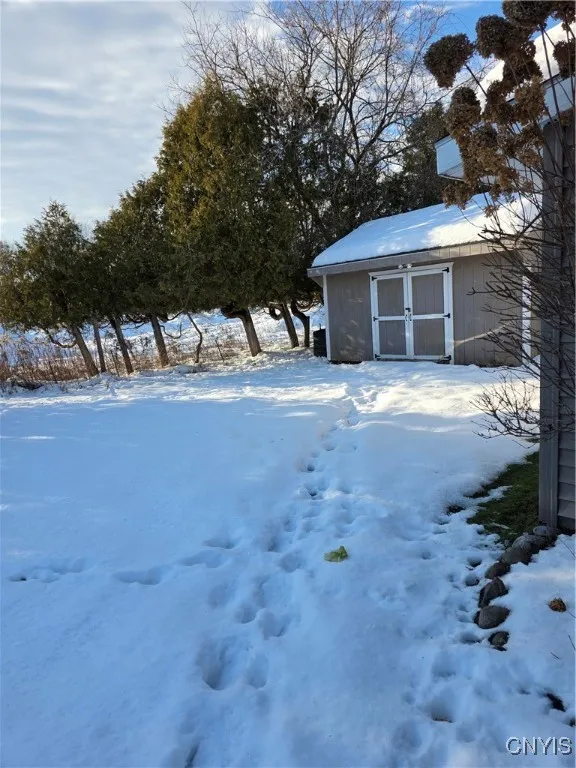 Yard & Shed behind fence