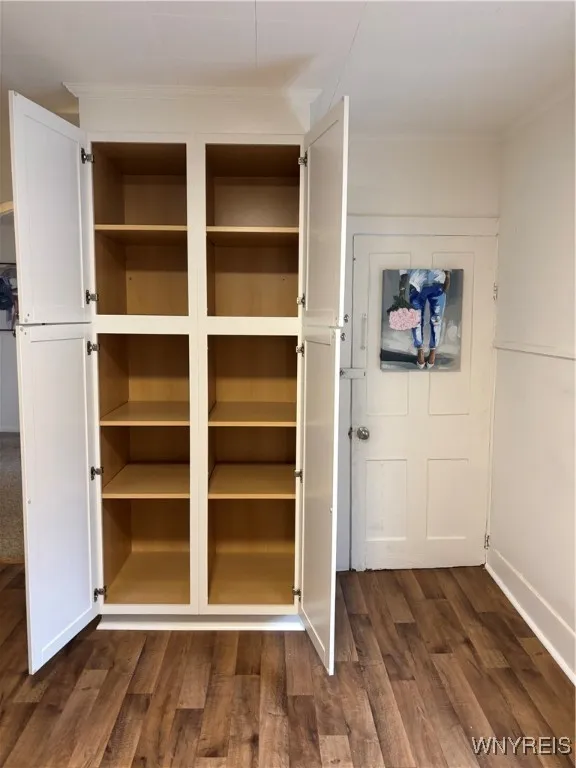 GREAT SPACE IN PANTRY CLOSET- DOOR TO THE RIGHT LEADS TO BASEMENT