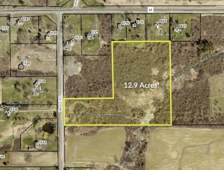 0 Brace Road - 12.9 Acres, Victor, New York 14564, Victor, New York 14564, ,Land,For Sale,0 Brace Road - 12.9 Acres, Victor, New York 14564,0,R1656120