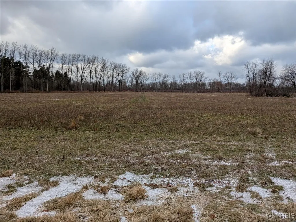 Godfrey Road North, Newfane, New York 14028, Newfane, New York 14028, ,Land,For Sale,Godfrey Road North, Newfane, New York 14028,0,B1656091