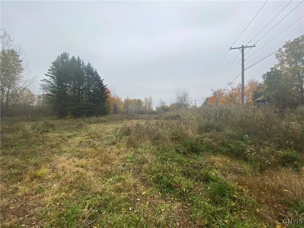 0 Caughdenoy Road, Clay, New York 13041, Clay, New York 13041, ,Land,For Sale,0 Caughdenoy Road, Clay, New York 13041,0,S1656085