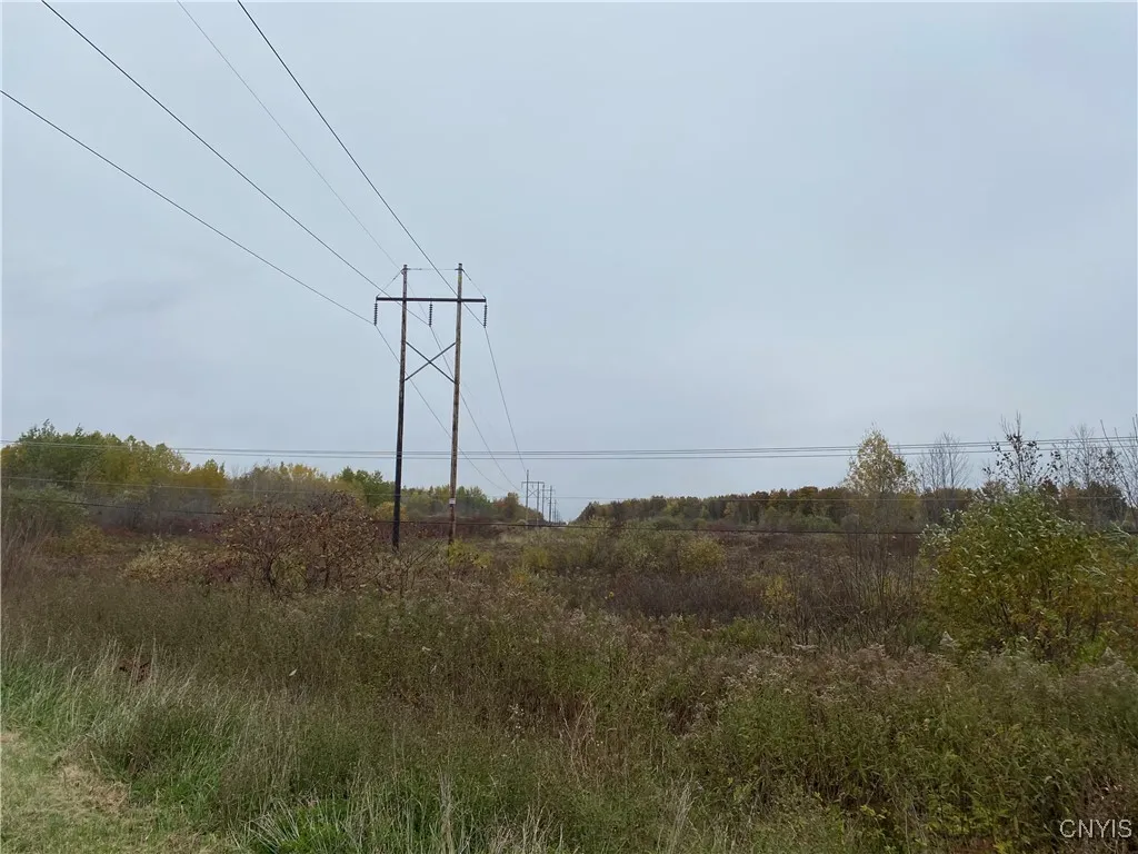 0 Caughdenoy Road, Clay, New York 13041, Clay, New York 13041, ,Land,For Sale,0 Caughdenoy Road, Clay, New York 13041,0,S1656085