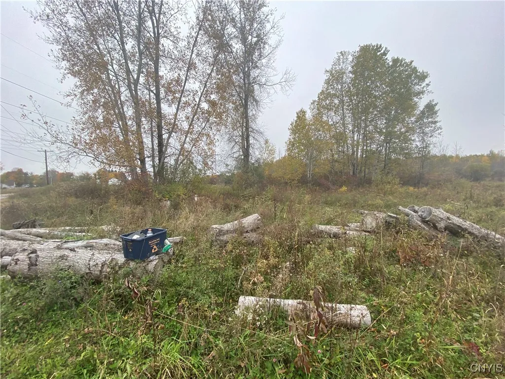 0 Caughdenoy Road, Clay, New York 13041, Clay, New York 13041, ,Land,For Sale,0 Caughdenoy Road, Clay, New York 13041,0,S1656085