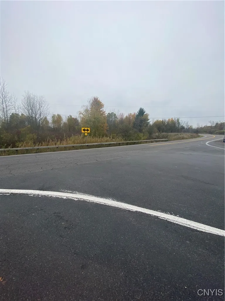 0 Caughdenoy Road, Clay, New York 13041, Clay, New York 13041, ,Land,For Sale,0 Caughdenoy Road, Clay, New York 13041,0,S1656085