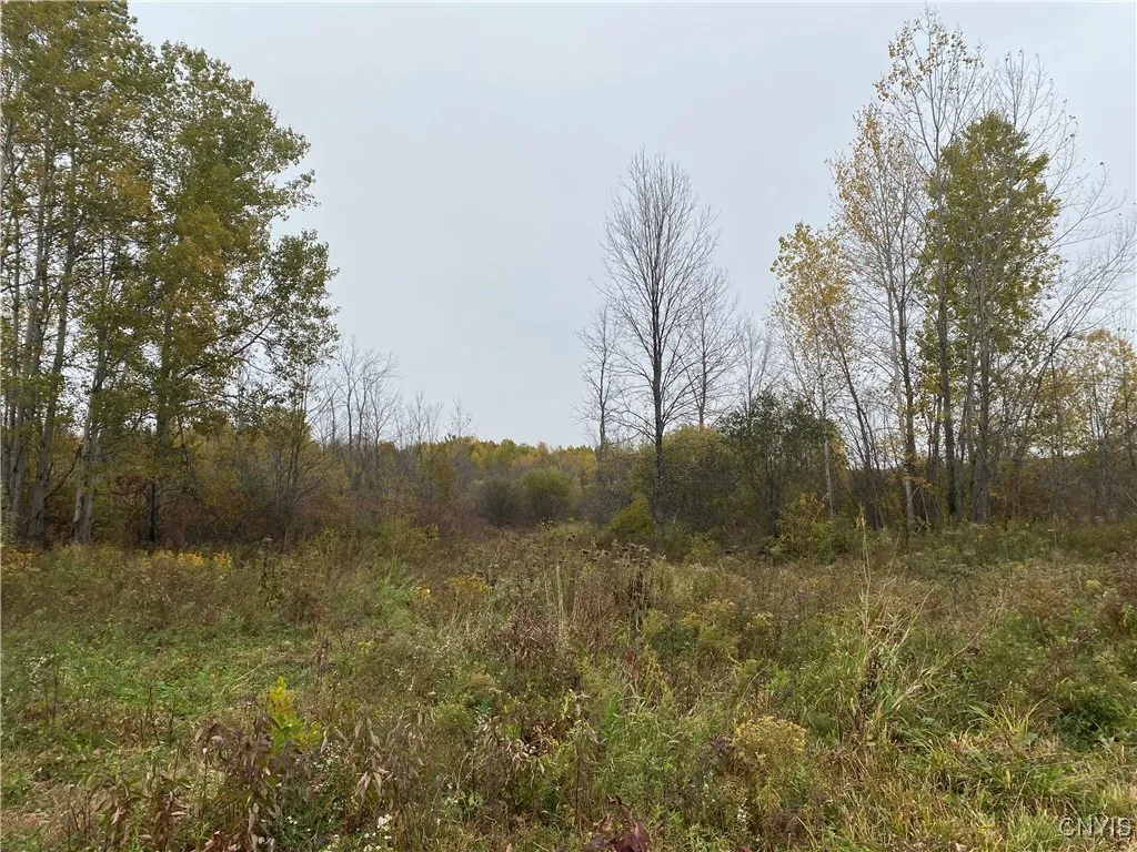 0 Caughdenoy Road, Clay, New York 13041, Clay, New York 13041, ,Land,For Sale,0 Caughdenoy Road, Clay, New York 13041,0,S1656085