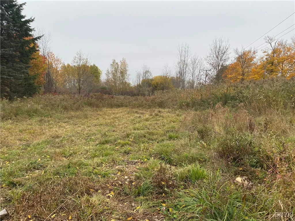 0 Caughdenoy Road, Clay, New York 13041, Clay, New York 13041, ,Land,For Sale,0 Caughdenoy Road, Clay, New York 13041,0,S1656085