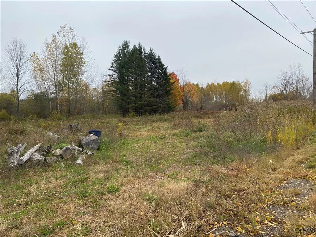 0 Caughdenoy Road, Clay, New York 13041, Clay, New York 13041, ,Land,For Sale,0 Caughdenoy Road, Clay, New York 13041,0,S1656085