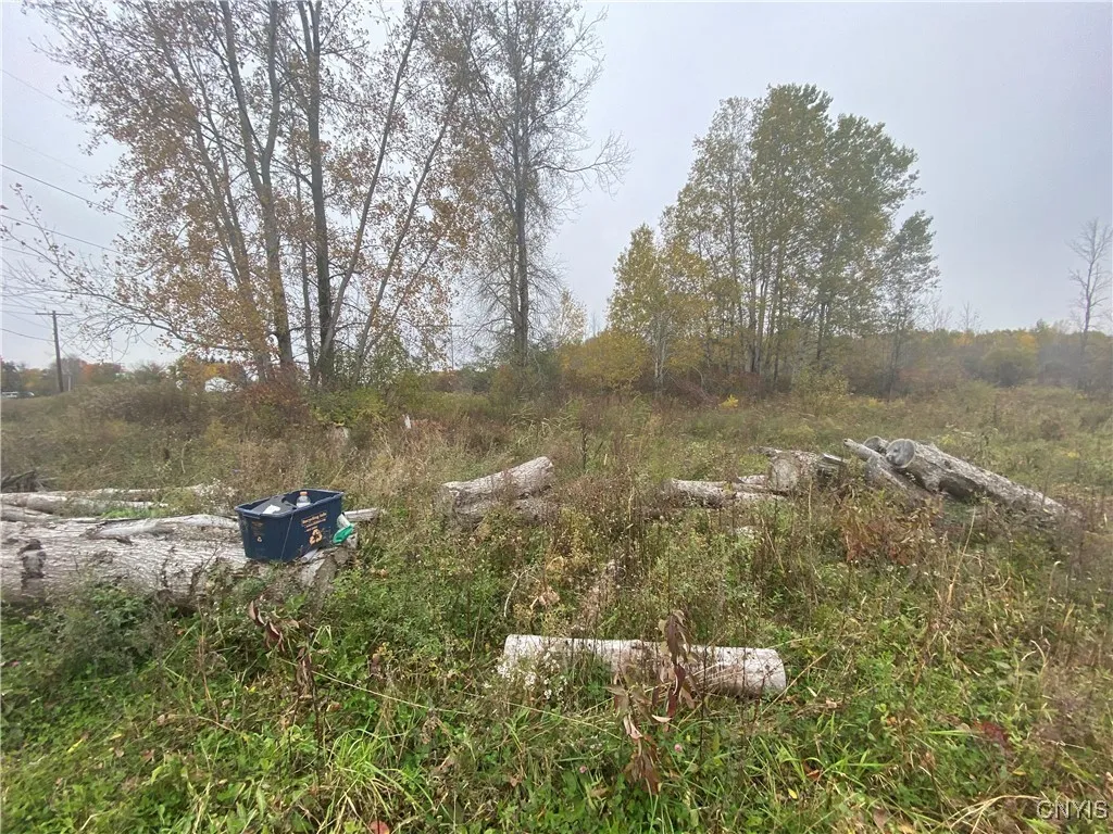 0 Caughdenoy Road, Clay, New York 13041, Clay, New York 13041, ,Land,For Sale,0 Caughdenoy Road, Clay, New York 13041,0,S1656085