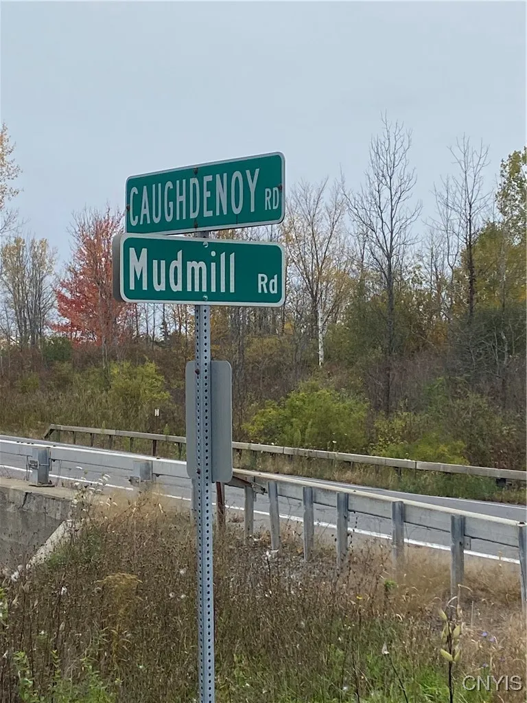 0 Caughdenoy Road, Clay, New York 13041, Clay, New York 13041, ,Land,For Sale,0 Caughdenoy Road, Clay, New York 13041,0,S1656085