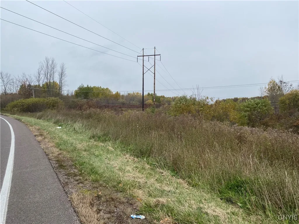 0 Caughdenoy Road, Clay, New York 13041, Clay, New York 13041, ,Land,For Sale,0 Caughdenoy Road, Clay, New York 13041,0,S1656085
