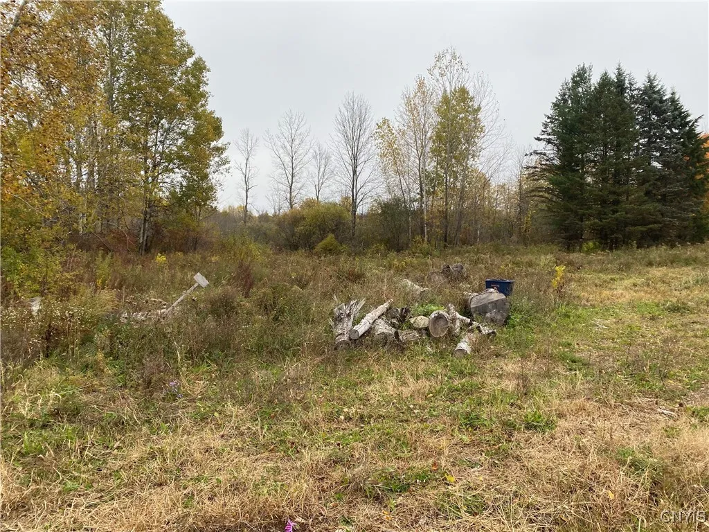 0 Caughdenoy Road, Clay, New York 13041, Clay, New York 13041, ,Land,For Sale,0 Caughdenoy Road, Clay, New York 13041,0,S1656085