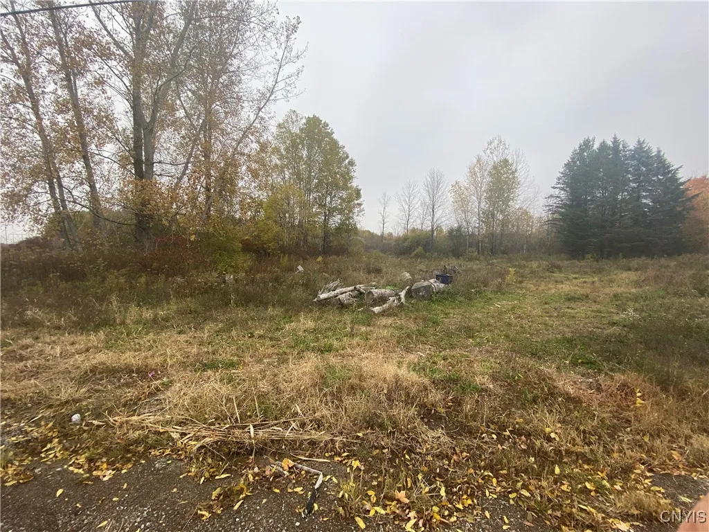 0 Caughdenoy Road, Clay, New York 13041, Clay, New York 13041, ,Land,For Sale,0 Caughdenoy Road, Clay, New York 13041,0,S1656085