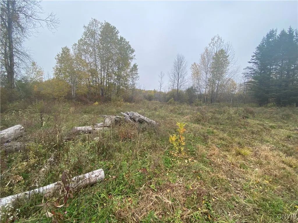 0 Caughdenoy Road, Clay, New York 13041, Clay, New York 13041, ,Land,For Sale,0 Caughdenoy Road, Clay, New York 13041,0,S1656085