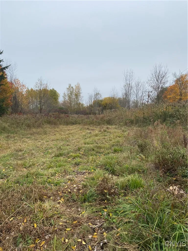 0 Caughdenoy Road, Clay, New York 13041, Clay, New York 13041, ,Land,For Sale,0 Caughdenoy Road, Clay, New York 13041,0,S1656085