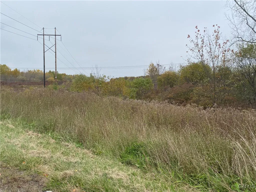 0 Caughdenoy Road, Clay, New York 13041, Clay, New York 13041, ,Land,For Sale,0 Caughdenoy Road, Clay, New York 13041,0,S1656085