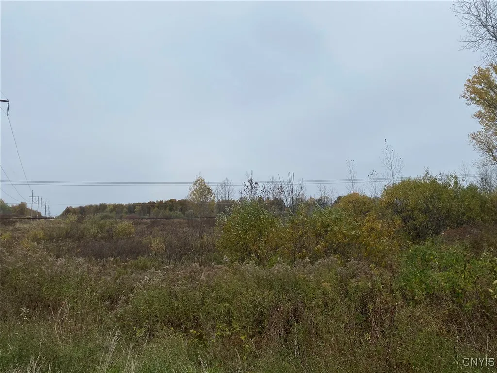 0 Caughdenoy Road, Clay, New York 13041, Clay, New York 13041, ,Land,For Sale,0 Caughdenoy Road, Clay, New York 13041,0,S1656085