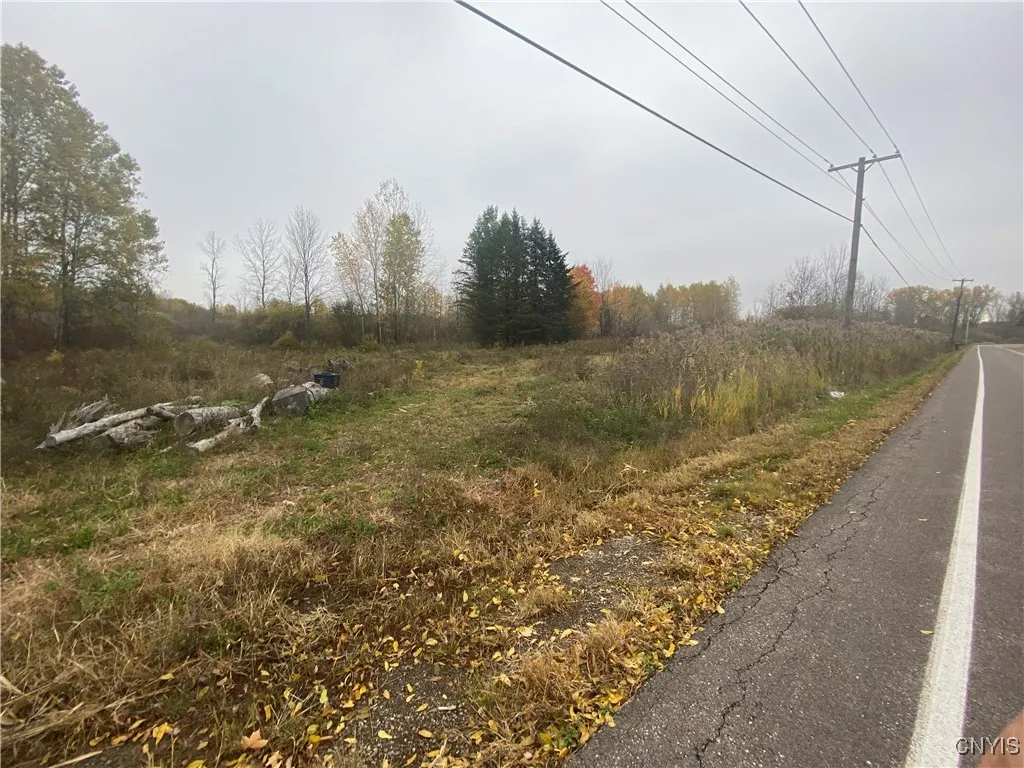 0 Caughdenoy Road, Clay, New York 13041, Clay, New York 13041, ,Land,For Sale,0 Caughdenoy Road, Clay, New York 13041,0,S1656085