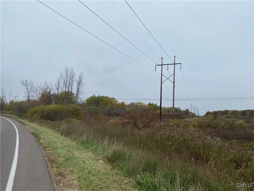 0 Caughdenoy Road, Clay, New York 13041, Clay, New York 13041, ,Land,For Sale,0 Caughdenoy Road, Clay, New York 13041,0,S1656085