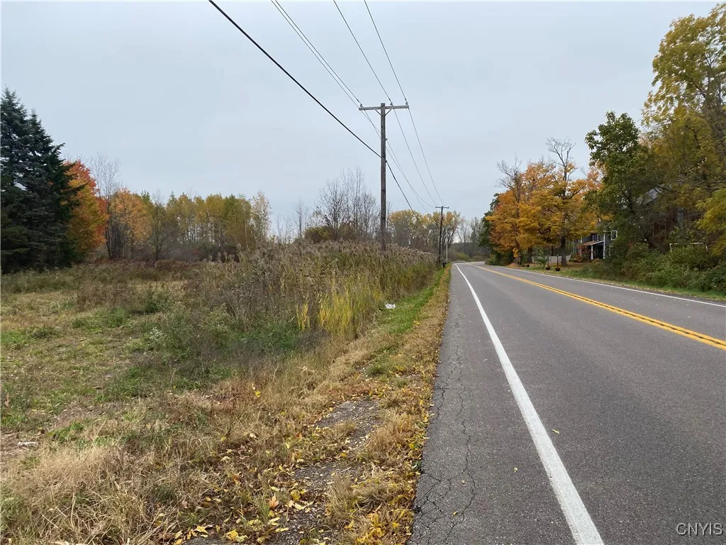 0 Caughdenoy Road, Clay, New York 13041, Clay, New York 13041, ,Land,For Sale,0 Caughdenoy Road, Clay, New York 13041,0,S1656085