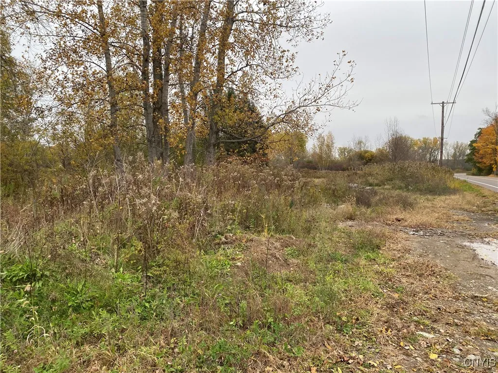 0 Caughdenoy Road, Clay, New York 13041, Clay, New York 13041, ,Land,For Sale,0 Caughdenoy Road, Clay, New York 13041,0,S1656085