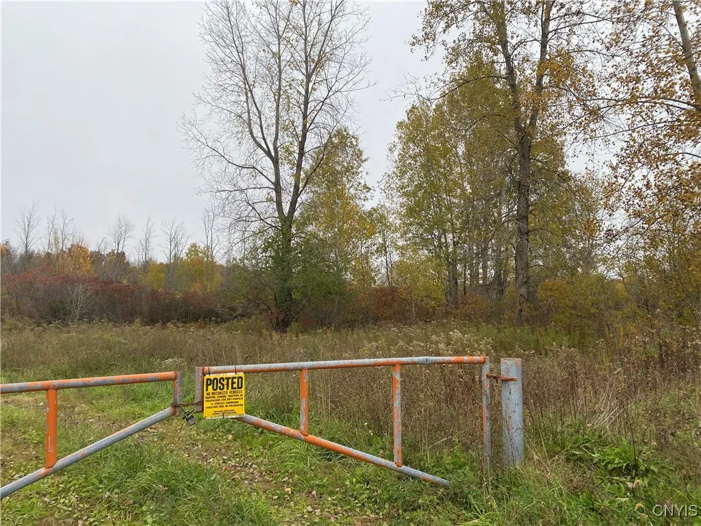 0 Caughdenoy Road, Clay, New York 13041, Clay, New York 13041, ,Land,For Sale,0 Caughdenoy Road, Clay, New York 13041,0,S1656085