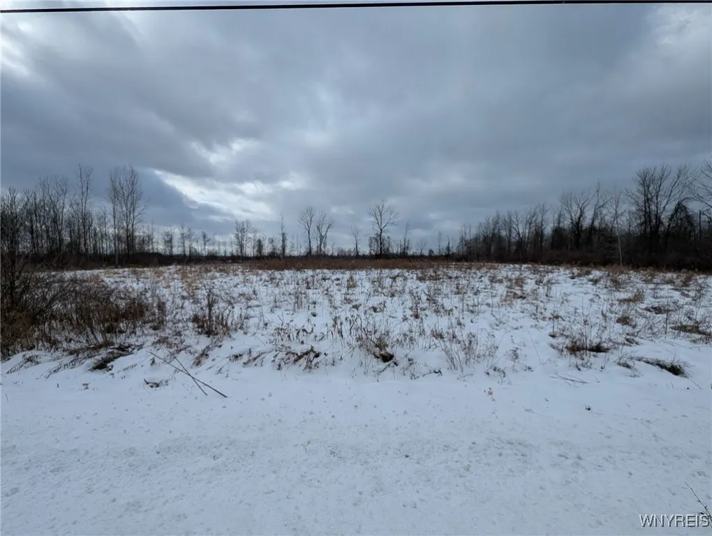 Tonawanda Creek Road, Royalton, New York 14094, Royalton, New York 14094, ,Land,For Sale,Tonawanda Creek Road, Royalton, New York 14094,0,B1657210
