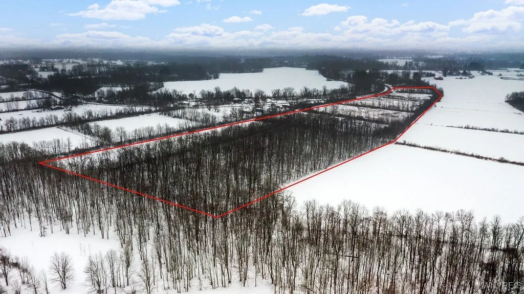 Tonawanda Creek Road, Royalton, New York 14094, Royalton, New York 14094, ,Land,For Sale,Tonawanda Creek Road, Royalton, New York 14094,0,B1657210
