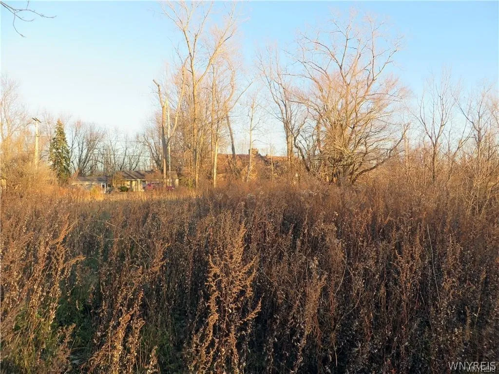 5600 Clinton Street 0, Elma, New York 14059, Elma, New York 14059, ,Land,For Sale,5600 Clinton Street 0, Elma, New York 14059,0,B1657019