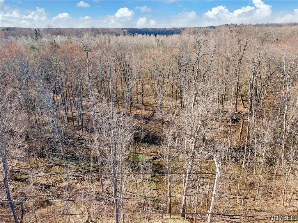 5600 Clinton Street 0, Elma, New York 14059, Elma, New York 14059, ,Land,For Sale,5600 Clinton Street 0, Elma, New York 14059,0,B1657019
