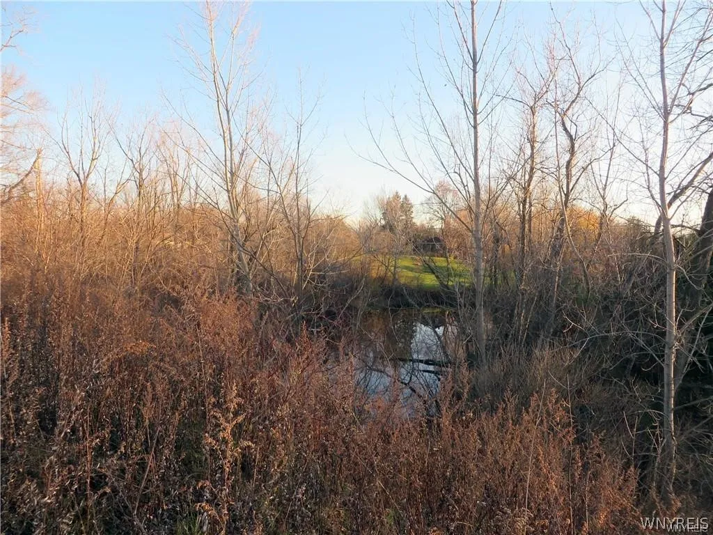 5600 Clinton Street 0, Elma, New York 14059, Elma, New York 14059, ,Land,For Sale,5600 Clinton Street 0, Elma, New York 14059,0,B1657019