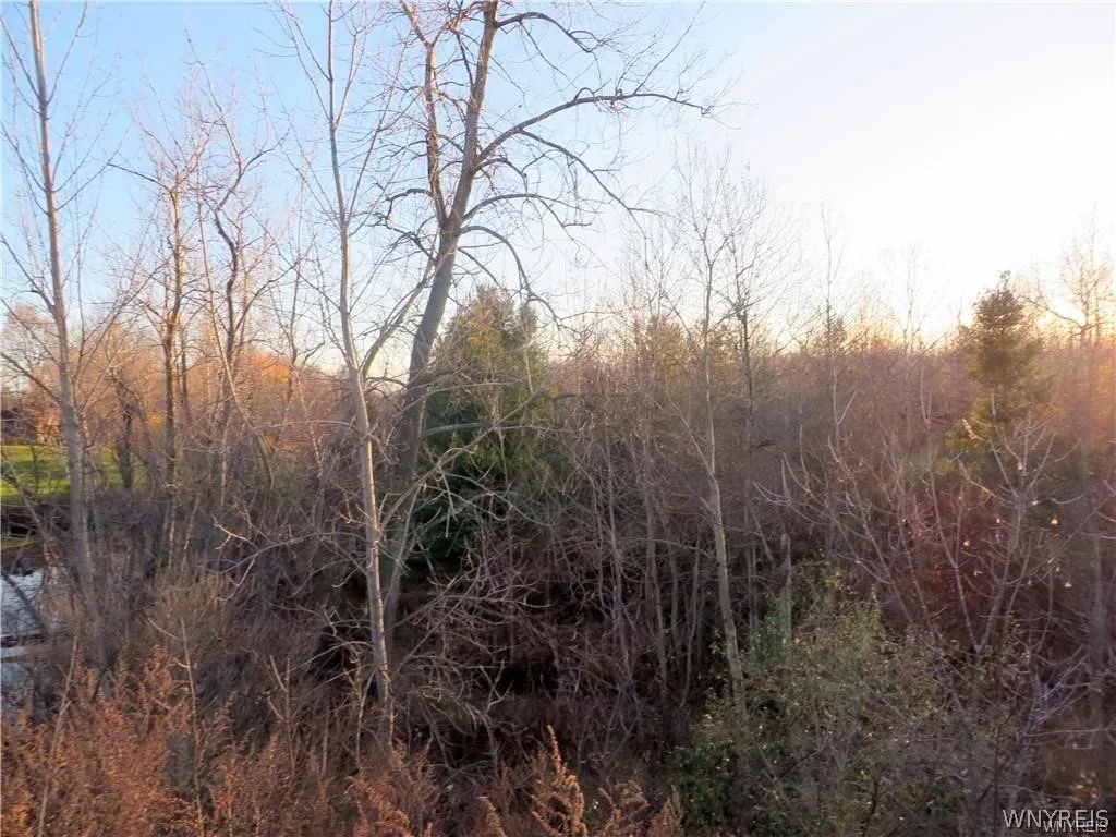 5600 Clinton Street 0, Elma, New York 14059, Elma, New York 14059, ,Land,For Sale,5600 Clinton Street 0, Elma, New York 14059,0,B1657019