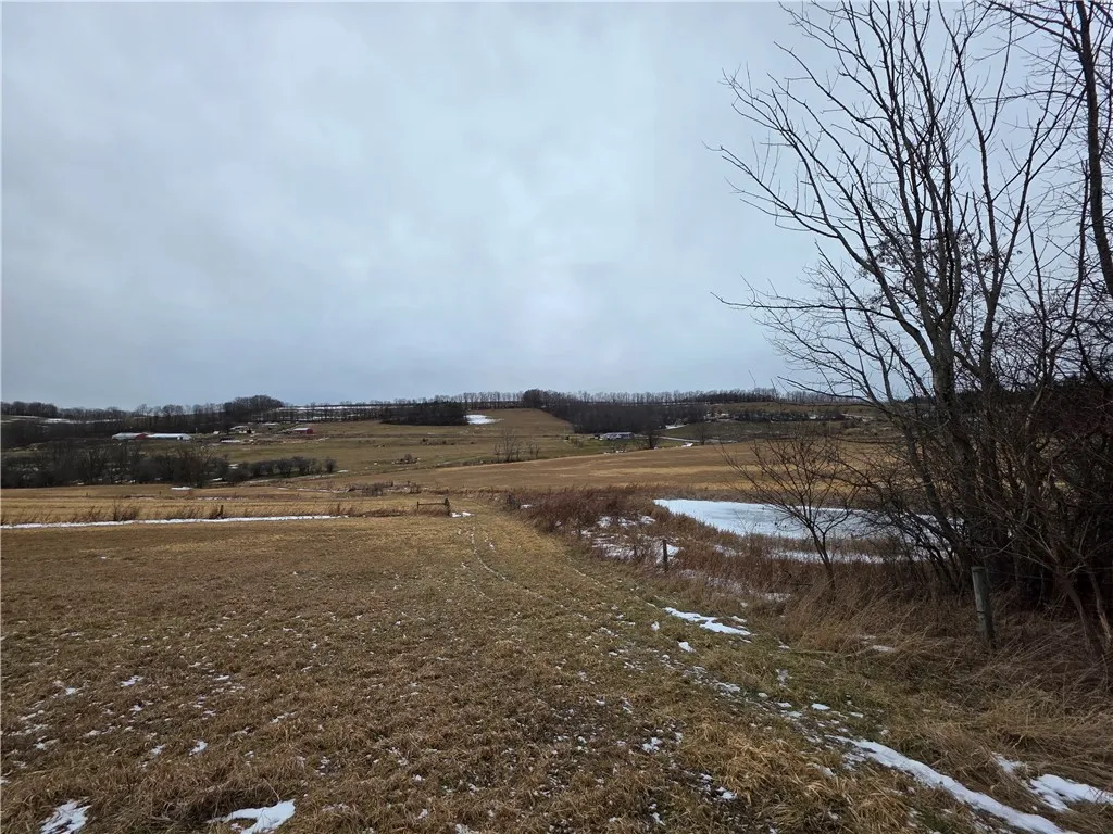 1300 County Route 82, Troupsburg, New York 14885, Troupsburg, New York 14885, ,Land,For Sale,1300 County Route 82, Troupsburg, New York 14885,0,R1657620