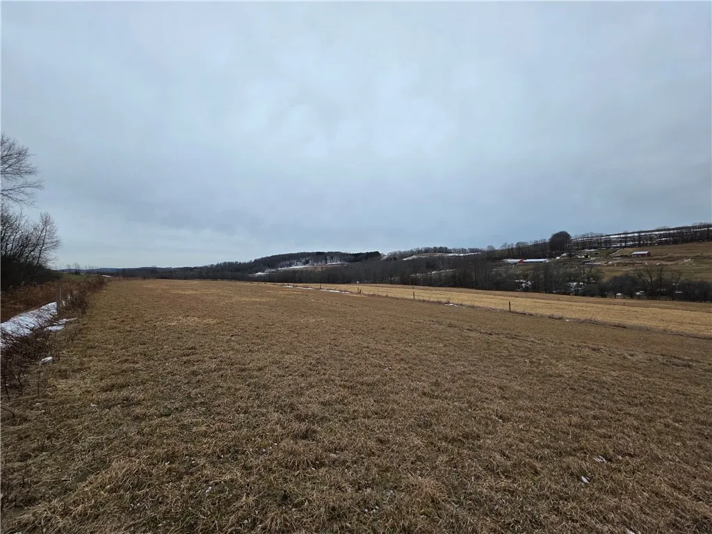 1300 County Route 82, Troupsburg, New York 14885, Troupsburg, New York 14885, ,Land,For Sale,1300 County Route 82, Troupsburg, New York 14885,0,R1657620