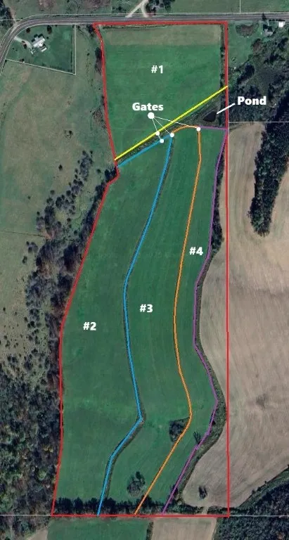 1300 County Route 82, Troupsburg, New York 14885, Troupsburg, New York 14885, ,Land,For Sale,1300 County Route 82, Troupsburg, New York 14885,0,R1657620