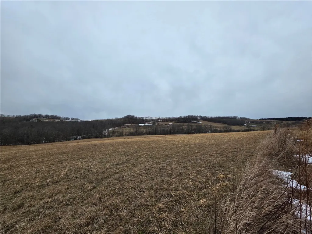 1300 County Route 82, Troupsburg, New York 14885, Troupsburg, New York 14885, ,Land,For Sale,1300 County Route 82, Troupsburg, New York 14885,0,R1657620