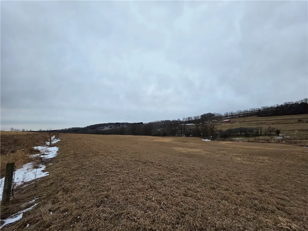 1300 County Route 82, Troupsburg, New York 14885, Troupsburg, New York 14885, ,Land,For Sale,1300 County Route 82, Troupsburg, New York 14885,0,R1657620
