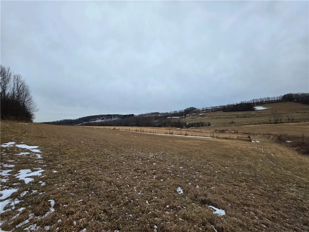 1300 County Route 82, Troupsburg, New York 14885, Troupsburg, New York 14885, ,Land,For Sale,1300 County Route 82, Troupsburg, New York 14885,0,R1657620