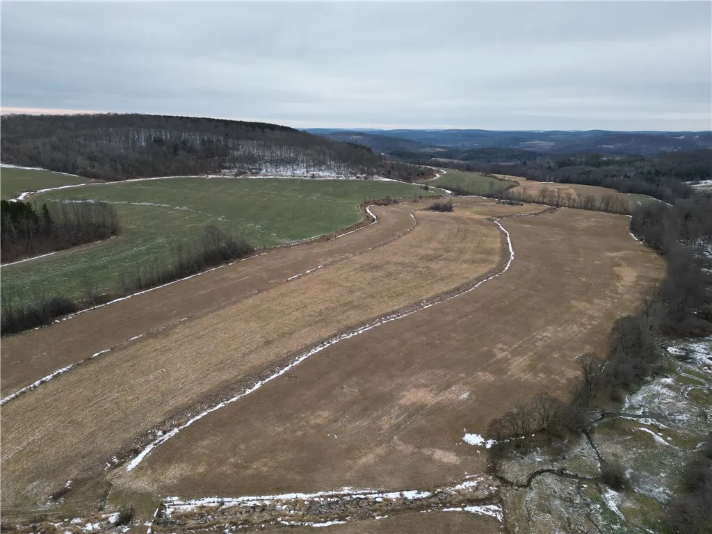 1300 County Route 82, Troupsburg, New York 14885, Troupsburg, New York 14885, ,Land,For Sale,1300 County Route 82, Troupsburg, New York 14885,0,R1657620