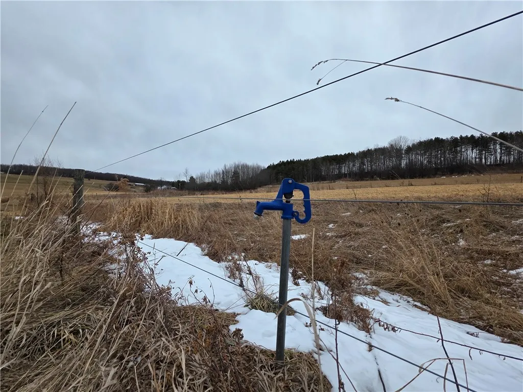 1300 County Route 82, Troupsburg, New York 14885, Troupsburg, New York 14885, ,Land,For Sale,1300 County Route 82, Troupsburg, New York 14885,0,R1657620