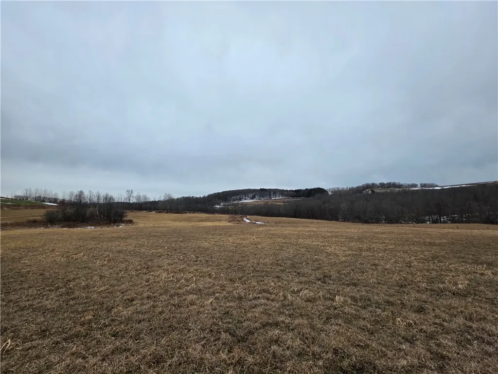 1300 County Route 82, Troupsburg, New York 14885, Troupsburg, New York 14885, ,Land,For Sale,1300 County Route 82, Troupsburg, New York 14885,0,R1657620